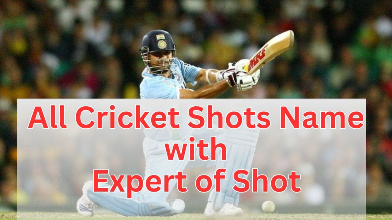 All Types Of Cricket Shots Explanation – Top 28 Shot